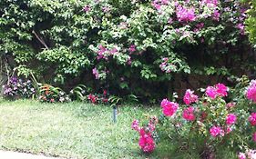 Silverhill Rentals
